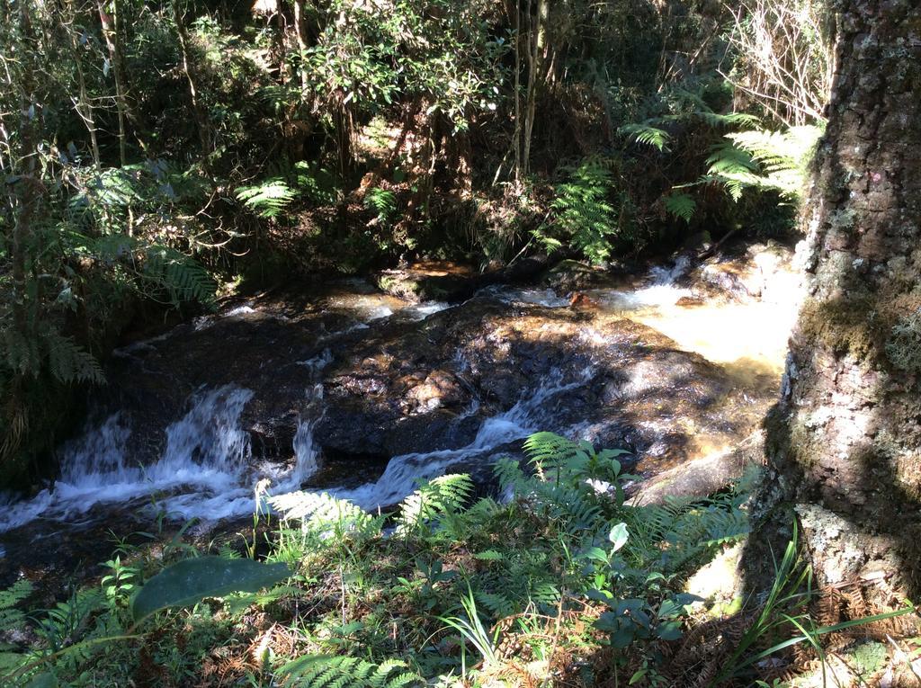 Chales Do Ferradura Campos do Jordão 外观 照片